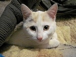IMG_4720.JPG