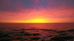 houbard_049.jpg