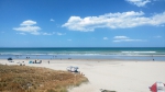 tauranga_019.jpg