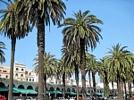 IMG_4701.JPG