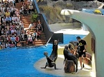 IMG_5203.JPG