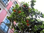 IMG_5675.JPG
