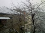 IMG758.jpg