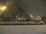 IMG_3538.JPG