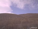 Dmc_0053.jpg