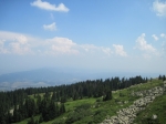 IMG_2645.jpg